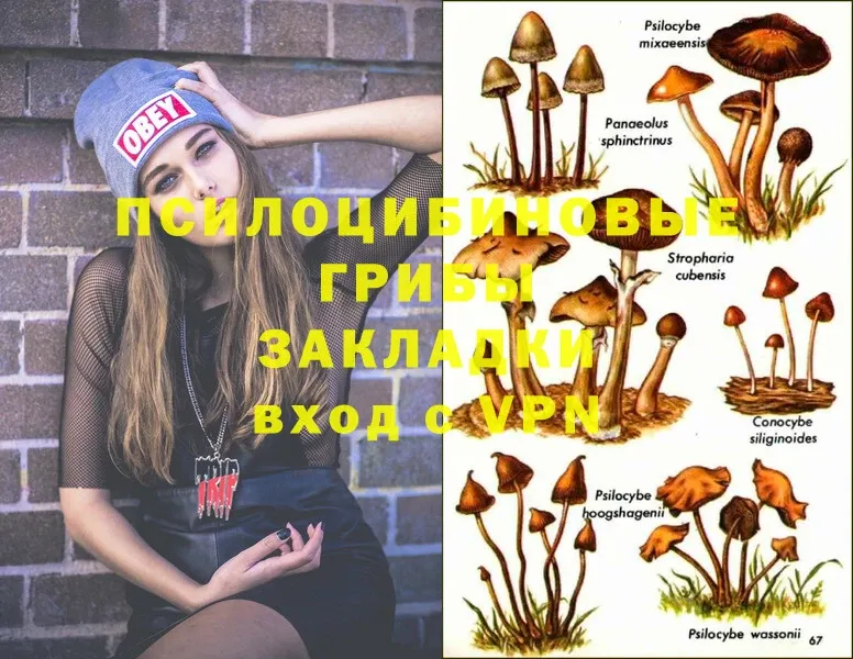 Псилоцибиновые грибы Magic Shrooms  Когалым 